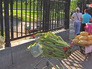 Нелегальная торговля у станции "ВДНХ" Нелегальная торговля у станции "ВДНХ"