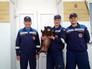 Спасенный из Химкинского водохранилища декоративный поросенок Спасенный из Химкинского водохранилища декоративный поросенок
