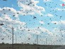 Нашествие саранчи Нашествие саранчи