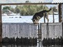 Последствия паводка Последствия паводка