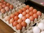 Куриные яйца Куриные яйца