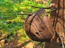 Находки поискового отряда Находки поискового отряда