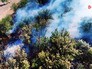 Лесные пожары Лесные пожары