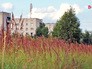 В Ярославле подростки избили свою одноклассницу В Ярославле подростки избили свою одноклассницу