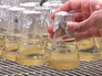 Биобанк морских обитателей Биобанк морских обитателей