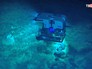 Поиски морских обитателей Поиски морских обитателей