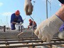 Строительство Крымского моста Строительство Крымского моста