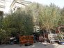 Предпоказ выставки "Цай Гоцян. Октябрь" в ГМИИ им. А.Пушкина Предпоказ выставки "Цай Гоцян. Октябрь" в ГМИИ им. А.Пушкина