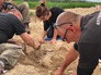 Археологические раскопки во Франции Археологические раскопки во Франции