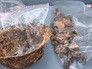 Археологические раскопки во Франции Археологические раскопки во Франции