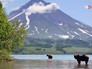 Медведи на Камчатке Медведи на Камчатке