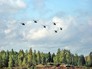 Военные учения Военные учения