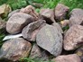 Передача камней из 58 регионов России Фондом памяти автору в Музее истории ГУЛАГа Передача камней из 58 регионов России Фондом памяти автору в Музее истории ГУЛАГа