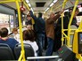 Пассажиры в автобусе Пассажиры в автобусе