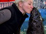 Тренировка с морским котиком Тренировка с морским котиком