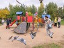 Осмотр хода благоустройства нового городского парка в Южном Бутове Осмотр хода благоустройства нового городского парка в Южном Бутове