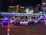 Полиция США в Лас-Вегасе Полиция США в Лас-Вегасе