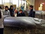 Египетский зал в Эрмитаже Египетский зал в Эрмитаже