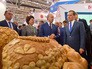 Дмитрий Медведев на агропромышленной выставке "Золотая осень" Дмитрий Медведев на агропромышленной выставке "Золотая осень"