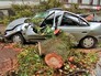 Последствия урагана в Европе Последствия урагана в Европе