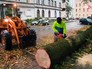 Последствия урагана в Европе Последствия урагана в Европе