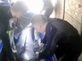 Специалисты перевозят дельфина Специалисты перевозят дельфина