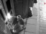 Пётр Павленский поджигает двери главного здания ФСБ на Лубянке Пётр Павленский поджигает двери главного здания ФСБ на Лубянке