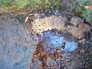 Исчезнувшие озеро во Владимирской области Исчезнувшие озеро во Владимирской области