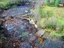 Исчезнувшие озеро во Владимирской области Исчезнувшие озеро во Владимирской области