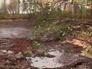 Исчезнувшие озеро во Владимирской области Исчезнувшие озеро во Владимирской области