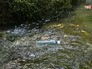 Мусор в воде Мусор в воде