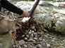 Посетители парка собирают мусор Посетители парка собирают мусор