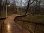 Территория вокруг пляжа "Левобережный" Территория вокруг пляжа "Левобережный"