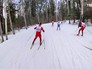 Лыжные соревнования Лыжные соревнования
