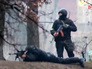 Стрельба во время протестов на Майдане Стрельба во время протестов на Майдане