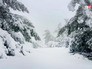 Снегопад в Европе Снегопад в Европе