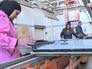 Завод по производству телевизоров Завод по производству телевизоров