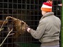 Медведь в вольере Медведь в вольере