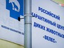 Карантинный центр диких животных Карантинный центр диких животных