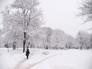 Последствия снегопада Последствия снегопада
