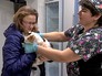 Ветеринарная клиника Ветеринарная клиника