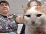 Осмотр кота Осмотр кота