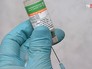 Вакцинация Вакцинация