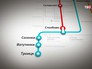 Проект новой ветки метро до Троицка Проект новой ветки метро до Троицка