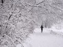 Снегопад Снегопад