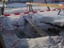 Место, где погибли дети Место, где погибли дети