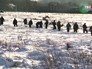 Спасатели МЧС России на месте крушения самолета Ан-148 "Саратовских авиалиний"сатели Спасатели МЧС России на месте крушения самолета Ан-148 "Саратовских авиалиний"сатели