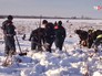 Спасатели МЧС России на месте крушения самолета Ан-148 "Саратовских авиалиний"сатели Спасатели МЧС России на месте крушения самолета Ан-148 "Саратовских авиалиний"сатели