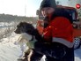 Жители Ямала спасли замерзающего щенка Жители Ямала спасли замерзающего щенка