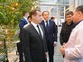 Председатель правительства РФ Дмитрий Медведев и глава Чечни Рамзан Кадыров во время посещения тепличного комплекса в Грозном Председатель правительства РФ Дмитрий Медведев и глава Чечни Рамзан Кадыров во время посещения тепличного комплекса в Грозном